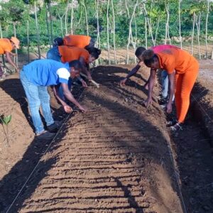 Farming